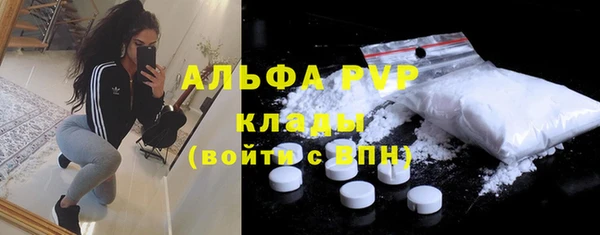 прущие грибы Ельня