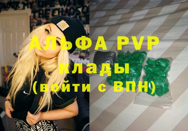 гашик Ростов