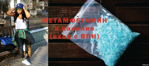 прущие грибы Ельня